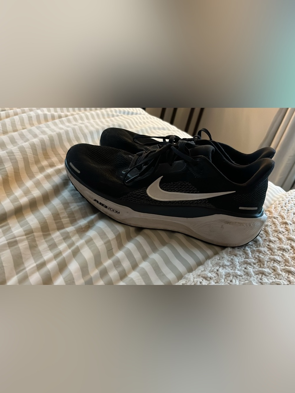 Men’s Nike Pegasus 41